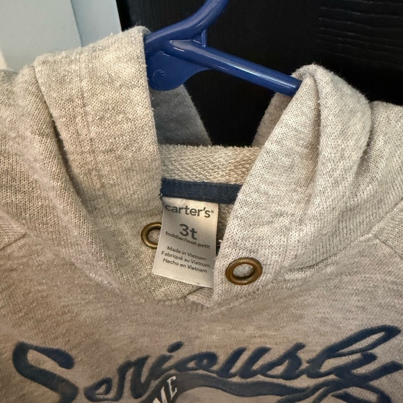 Carter’s 3T Hoodie – “Seriously Handsome” Gray Pullover - Picture 3 of 4